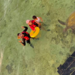 Wisatawn dan Penyu di Pulau Derawan